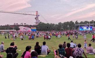 网红音乐会学生,青春旋律下的校园狂欢