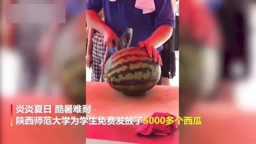 陕西吃瓜视频大全,吃瓜视频大全，带你领略地道风味