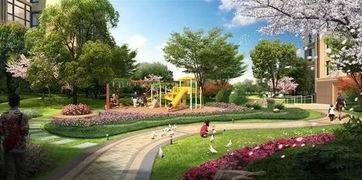 公园里面的网红产品,网红产品魅力大揭秘