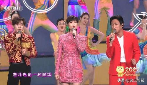 央视网红节目,揭秘央视网红的崛起之路