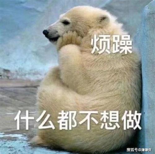 已婚吃瓜群众图片,揭秘婚姻背后的酸甜苦辣