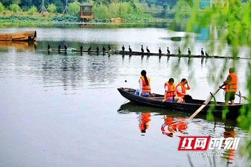 红网 沅江,聚焦沅江发展，展现水乡魅力