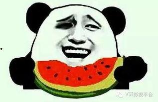 吃瓜的呆呆,吃瓜呆呆的趣味生活点滴