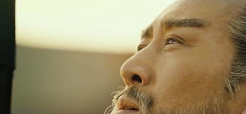 从事政治类的明星,跨界政坛的璀璨星光