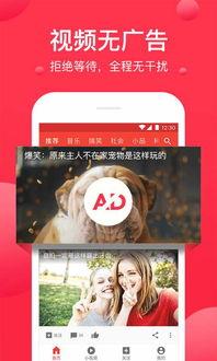 吃瓜达人视频文案素材,视频文案背后的趣味与智慧