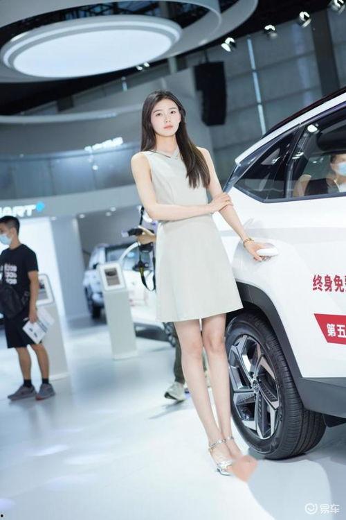 肖雨婷明星,璀璨星途，青春绽放的璀璨星辰