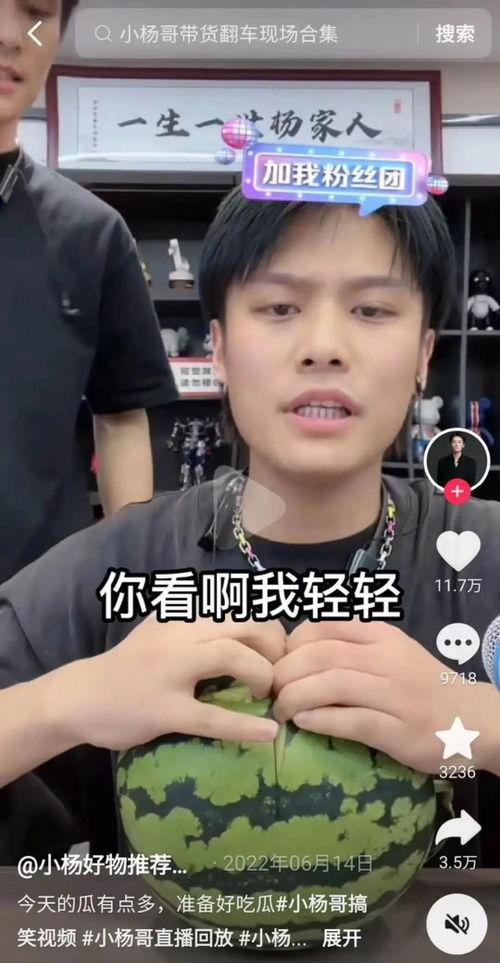 网不红小杨,揭秘网络红人的幕后故事