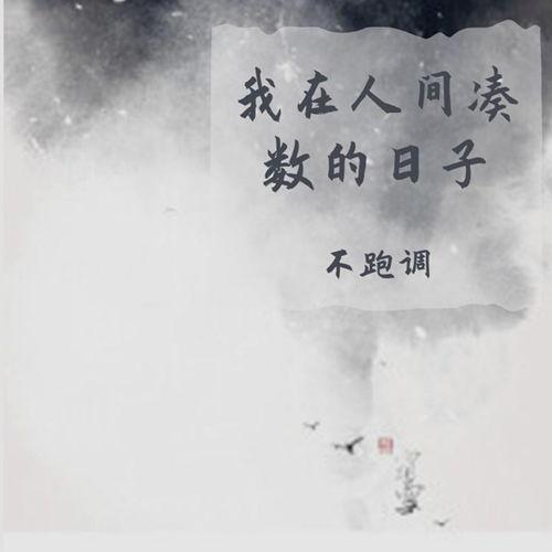 烟雨人间网红歌曲,烟雨人间——穿越时空的浪漫邂逅