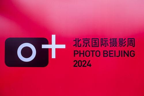 今日头条摄影作品哪里有,今日头条摄影作品精选盘点