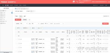 今日头条转化指标在哪里,揭秘高效数据洞察之道