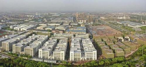 余江区金华镇新闻头条,聚焦发展新动态，共绘美好未来画卷