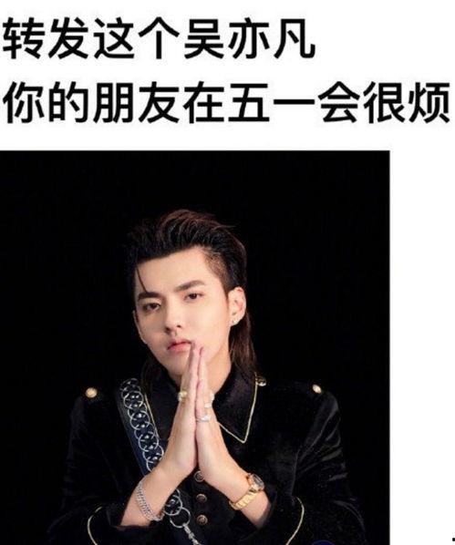 谐音 明星,谐音传情——明星们的趣味谐音故事”