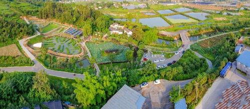 彭山网红,揭秘这座古城的时尚魅力