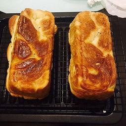 苏州网红手撕面包,酥脆口感，瞬间圈粉的甜蜜诱惑