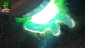 明料打灯怎么看种水好坏,揭秘翡翠种水优劣的奥秘