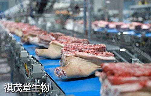 今日头条广东猪肉价,最新行情一览”