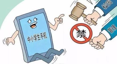 头条电信卡怎么领会员