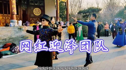 网红舞集体,集体舞蹈的魅力与影响力