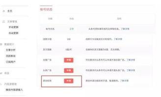 注册头条号原创申请流程,开启内容创作新篇章