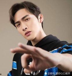 什么彬明星,闪耀舞台的璀璨星辰