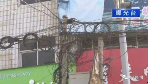 原阳爆料新闻,揭秘新闻背后的真相与内幕