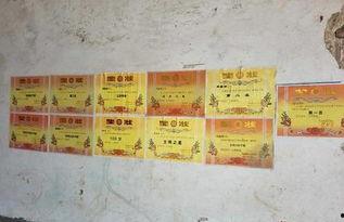 明星周嘉译,星光璀璨的演艺之路