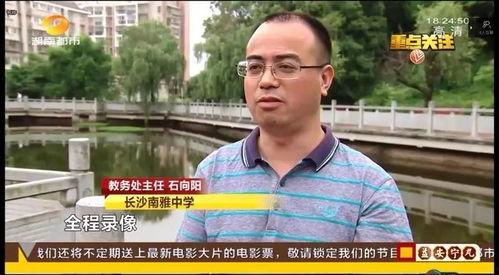 徐淑红网约,网约车行业的创新先锋与未来展望