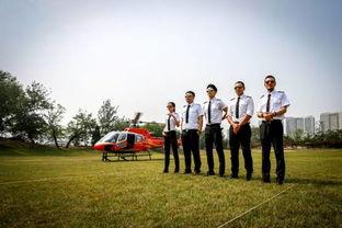 明星都考驾照吗,明星是否都拥有驾照？揭秘娱乐圈驾驶执照之谜