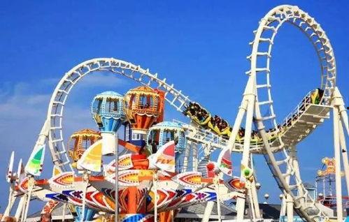 明星玩过山车死亡事件