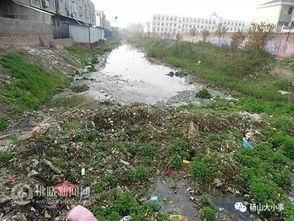 周寨网红,揭秘网络红人的崛起之路