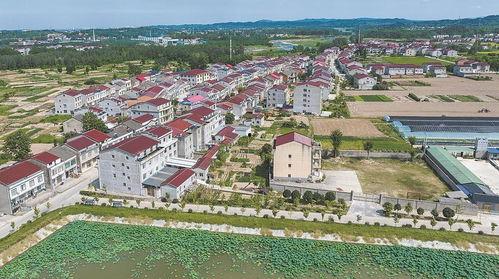 湖北黄陂双河村新闻头条,乡村振兴新篇章，绿色发展谱新篇