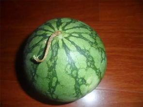 老瓜农吃瓜日常,老瓜农的悠闲吃瓜日常