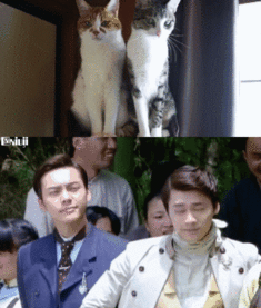 明星转笔动图,一招一式尽显风采