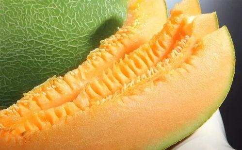 吃蜜瓜新疆儿歌视频,跟随吃蜜瓜视频感受新疆风情