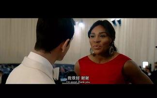 明星的词性,璀璨星河中的璀璨明珠