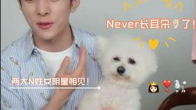 姓释的明星,闪耀荧屏的璀璨星辰