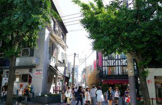 韩国首尔明星街,星光熠熠的时尚与娱乐交汇地