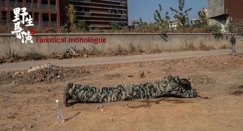 乡村野生网红,揭秘田园生活新风尚