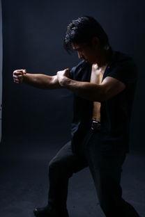 明星谈岳松,明星眼中的武术传奇与人生感悟